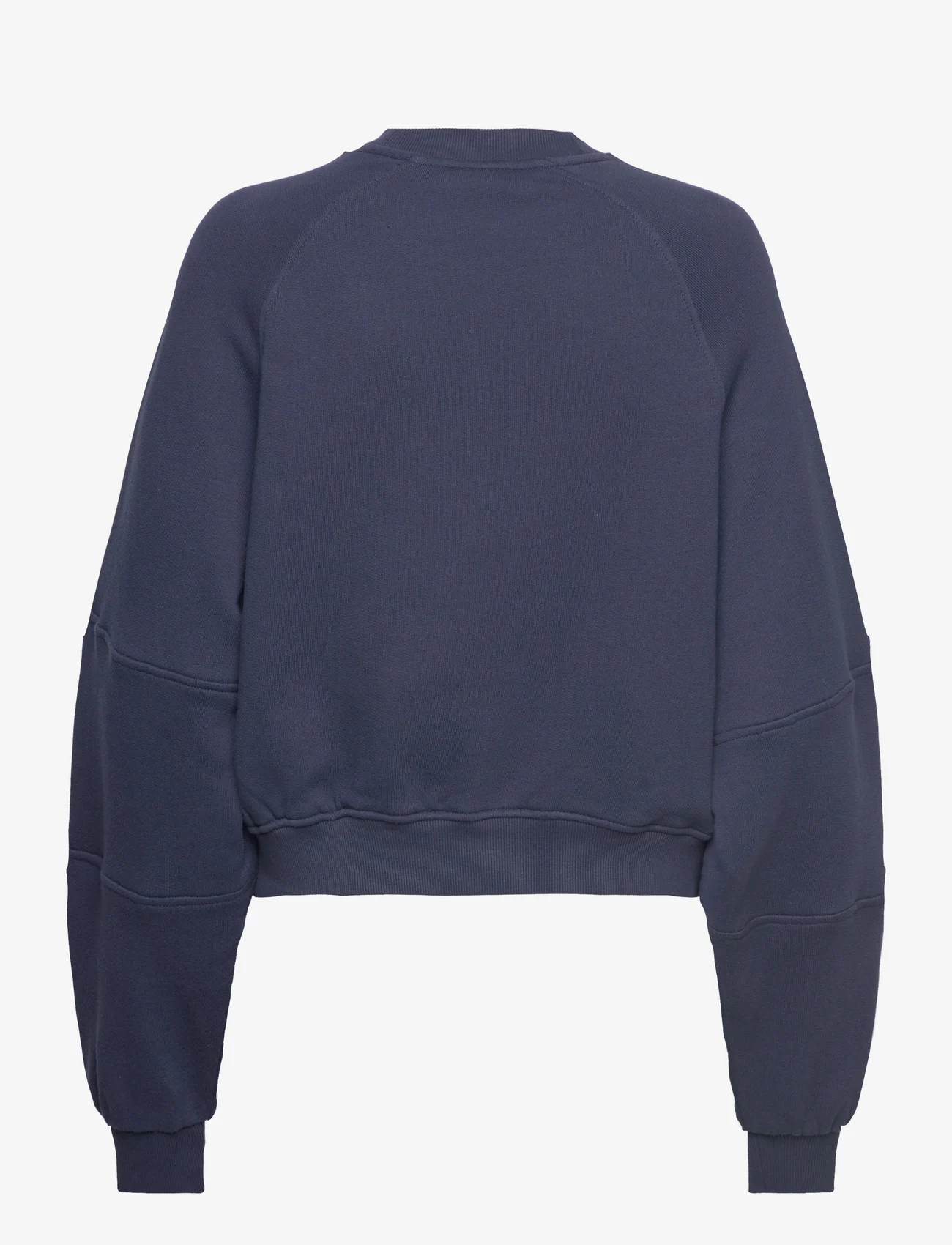 Tommy Jeans - TJW RLX WORLDWIDE RAGLAN CREW - sweatshirts - twilight navy - 1