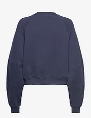 Tommy Jeans - TJW RLX WORLDWIDE RAGLAN CREW - sportiska stila džemperi un džemperi ar kapuci - twilight navy - 1