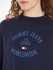Tommy Jeans - TJW RLX WORLDWIDE RAGLAN CREW - svetarit & hupparit - twilight navy - 4