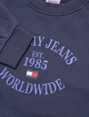 Tommy Jeans - TJW RLX WORLDWIDE RAGLAN CREW - sportiska stila džemperi un džemperi ar kapuci - twilight navy - 5