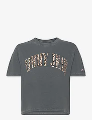 Tommy Jeans - TJW CLS LEO SS - t-shirts - new charcoal - 0