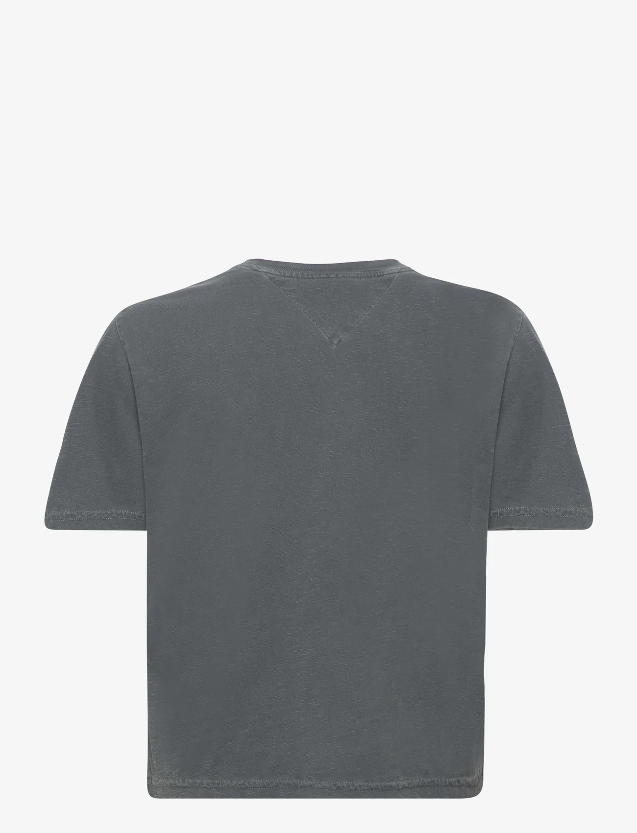 Tommy Jeans - TJW CLS LEO SS - t-shirts - new charcoal - 1