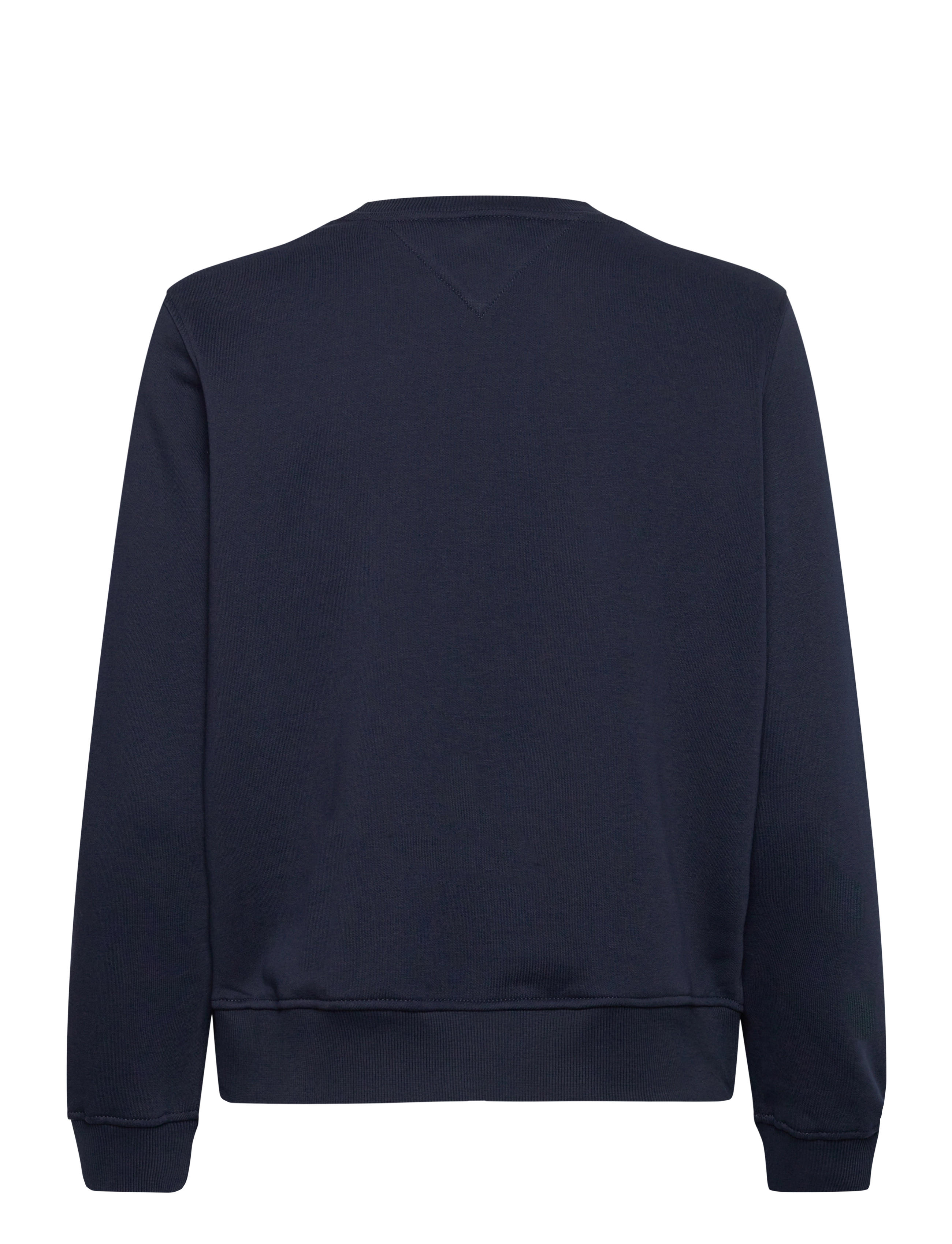 Tommy Jeans - TJW REG LINEAR CREW EXT - dark night navy - 1