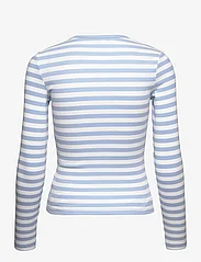 Tommy Jeans - TJW ESSENTIAL RIB STRIPE TOP LS - long-sleeved tops - moderate blue / multi - 1