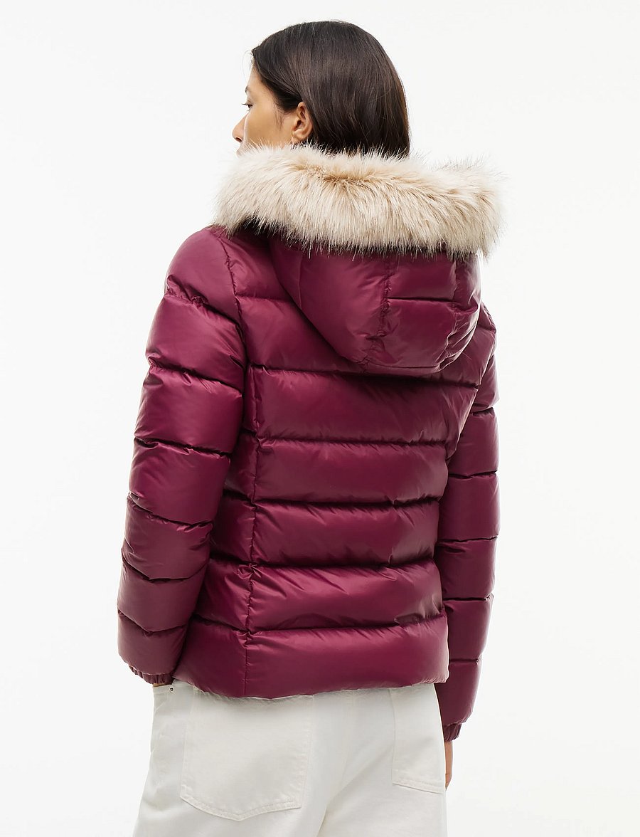 Tommy Jeans - TJW BASIC HOODED DOWN JACKET EXT - winter jackets - calypso berry - 2
