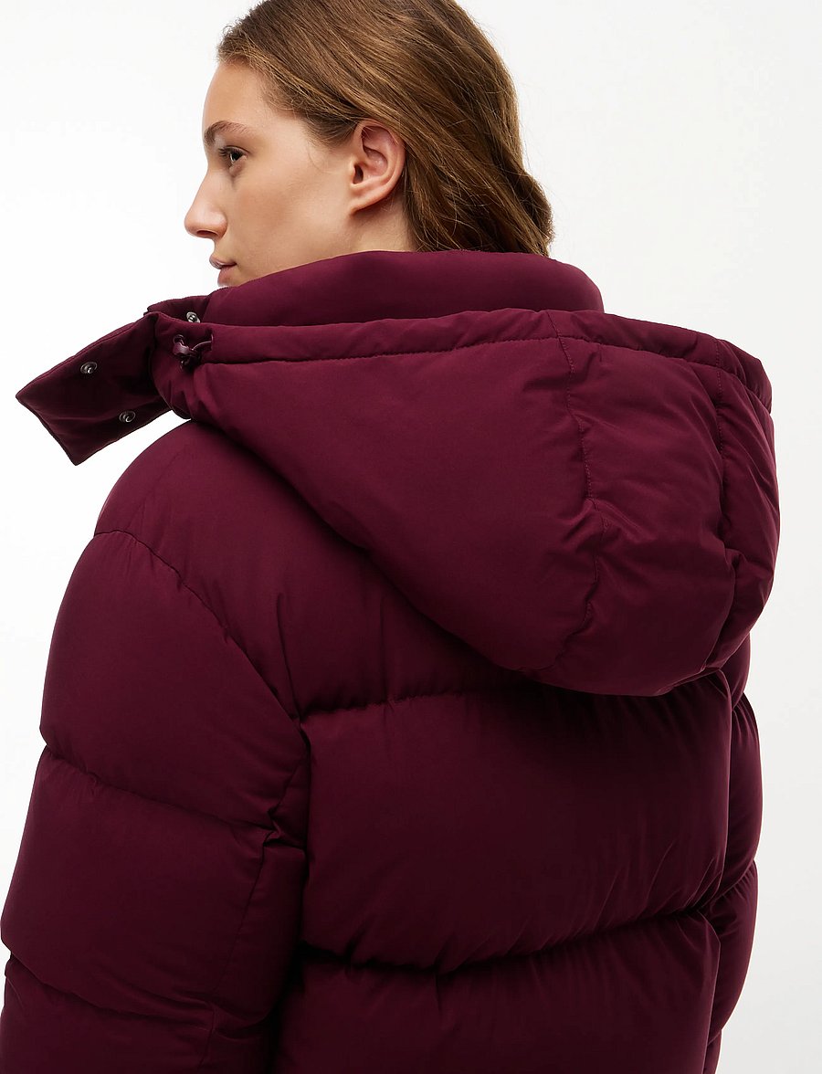 Tommy Jeans - TJW ALASKA PUFFER EXT - winter jackets - calypso berry - 4