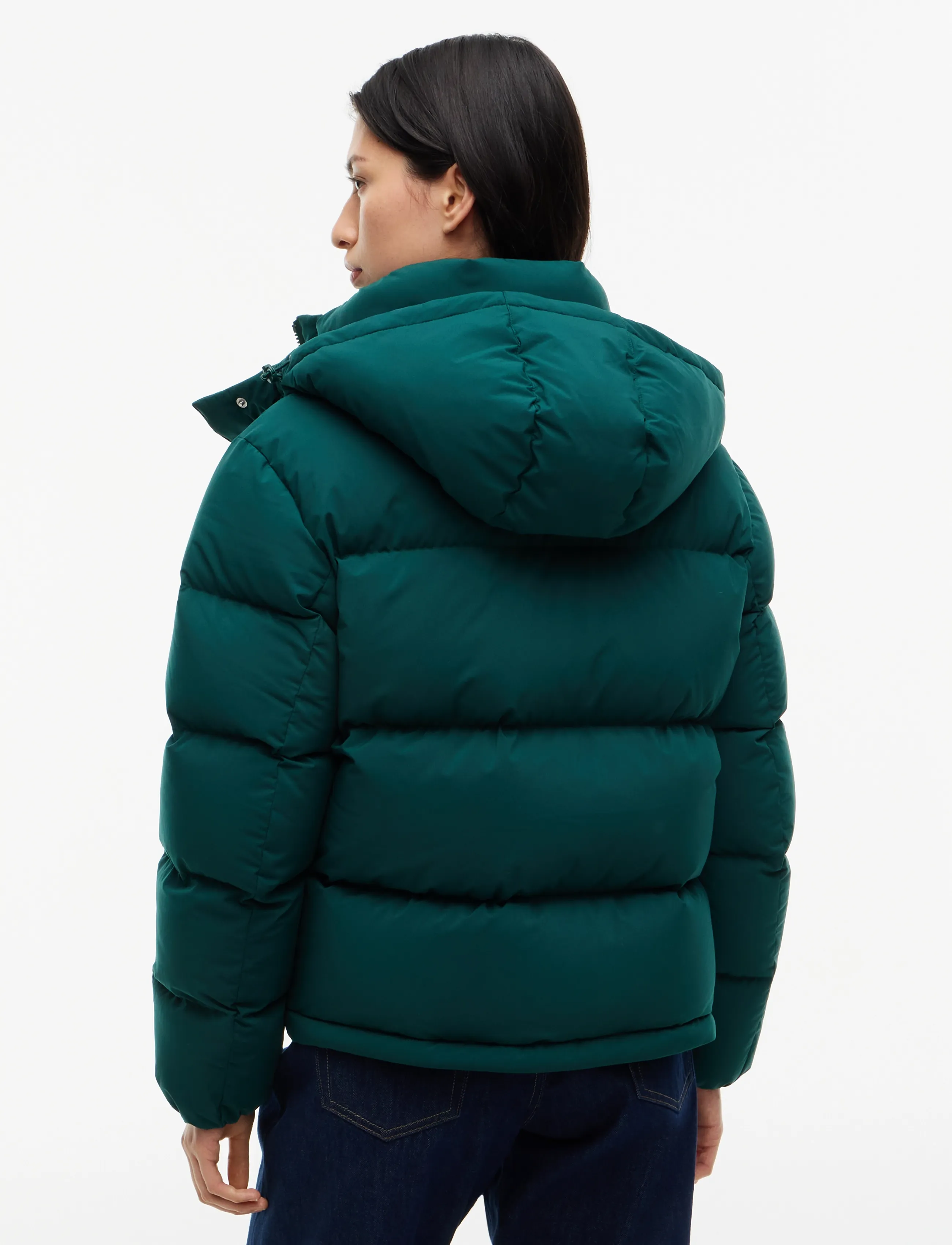Tjw Alaska Puffer Ext 2
