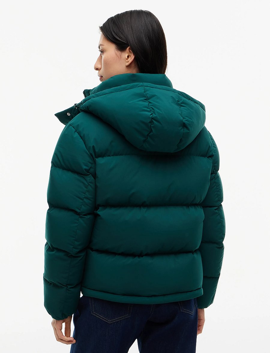 Tommy Jeans - TJW ALASKA PUFFER EXT - vinterjackor - elegant green - 2