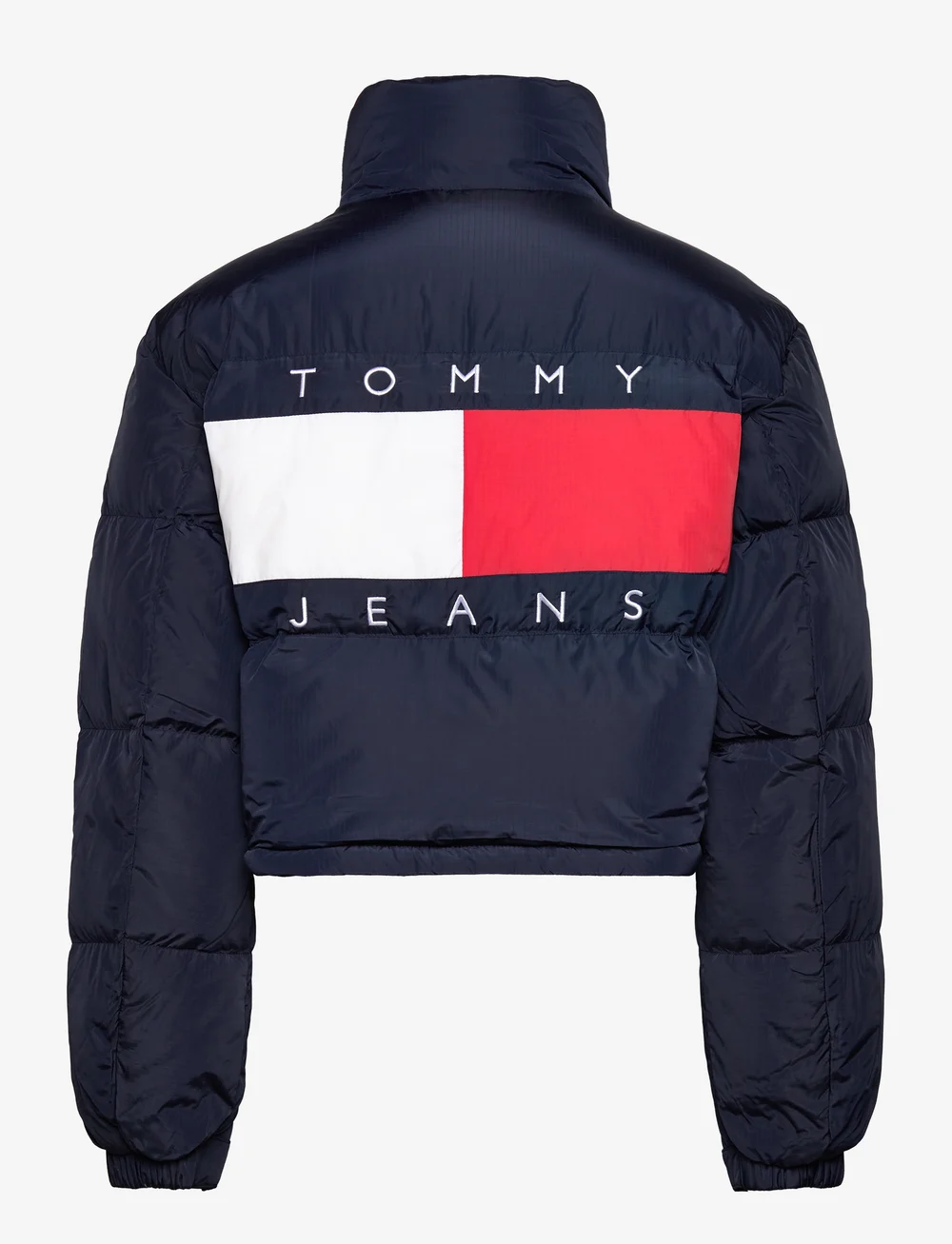 Tommy Jeans - TJW BACK FLAG ALASKA EXT - winter jacket - dark night navy - 1