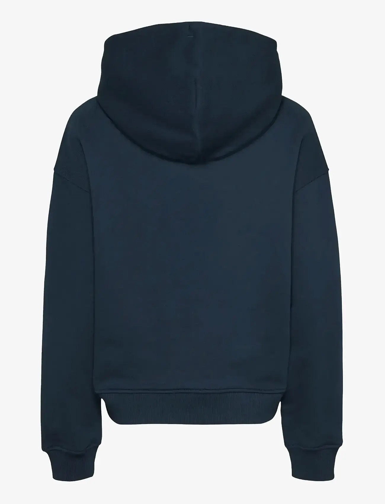 Tommy Jeans - TJW BXY BADGE HOODIE EXT - kapuzenpullover - dark night navy - 2