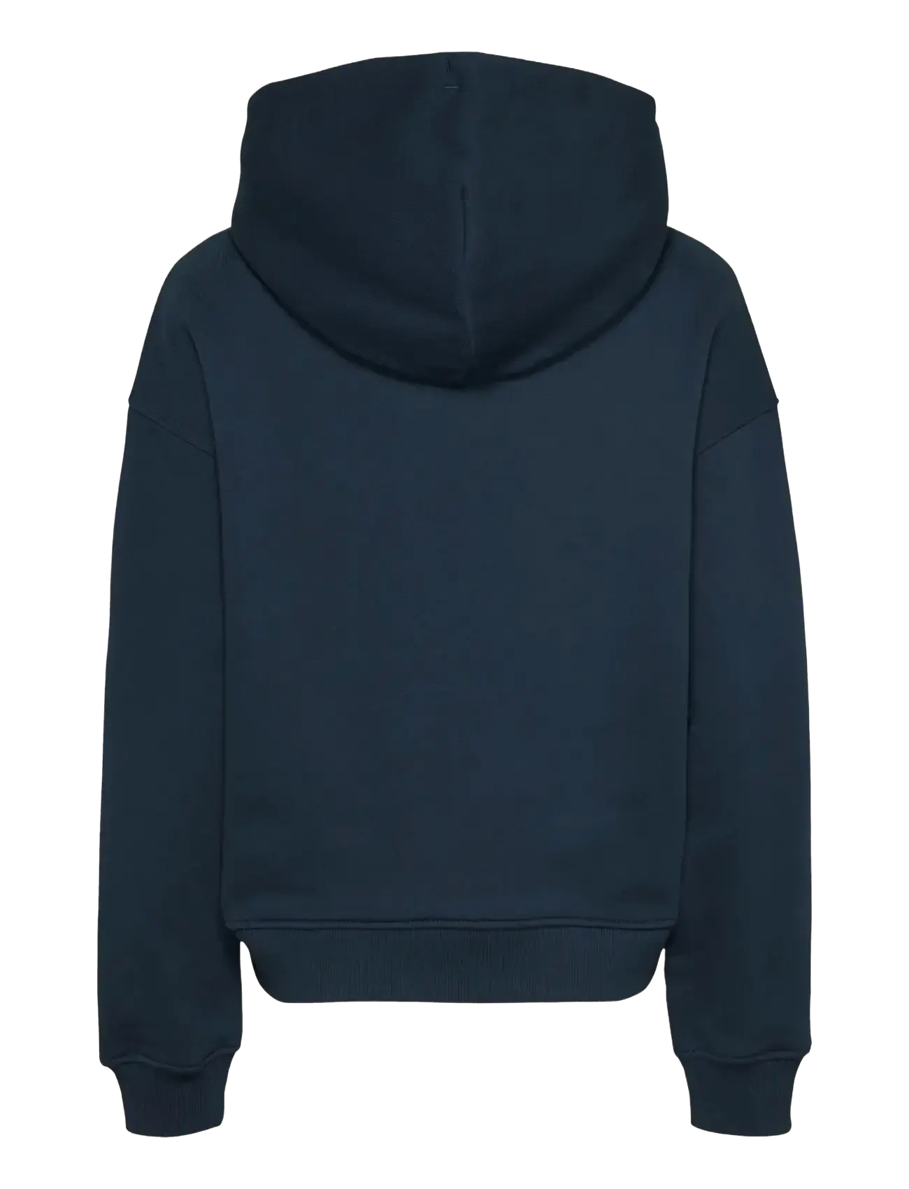 Tommy Jeans - TJW BXY BADGE HOODIE EXT - kapuzenpullover - dark night navy - 2