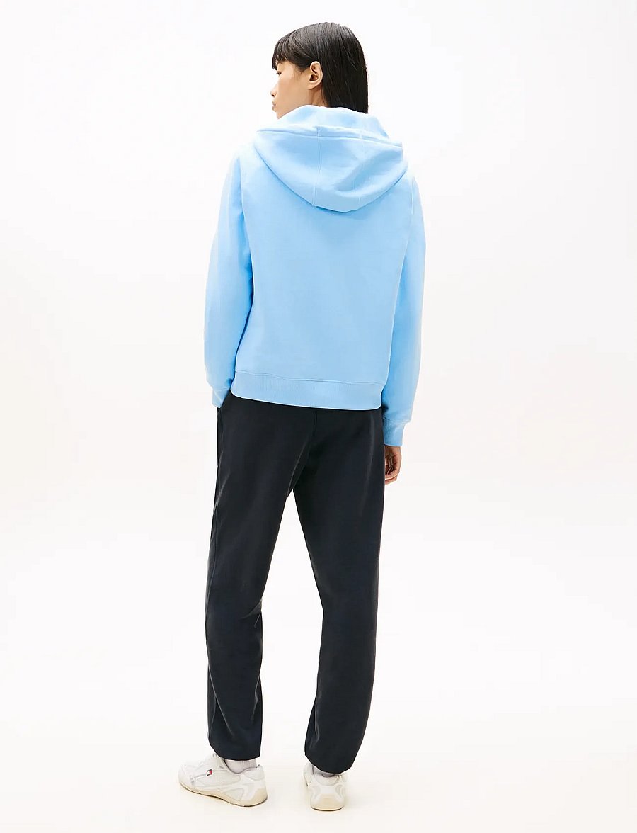 Tommy Jeans - TJW REG S FLAG ZIP THRU - hættetrøjer - light powdery blue - 2