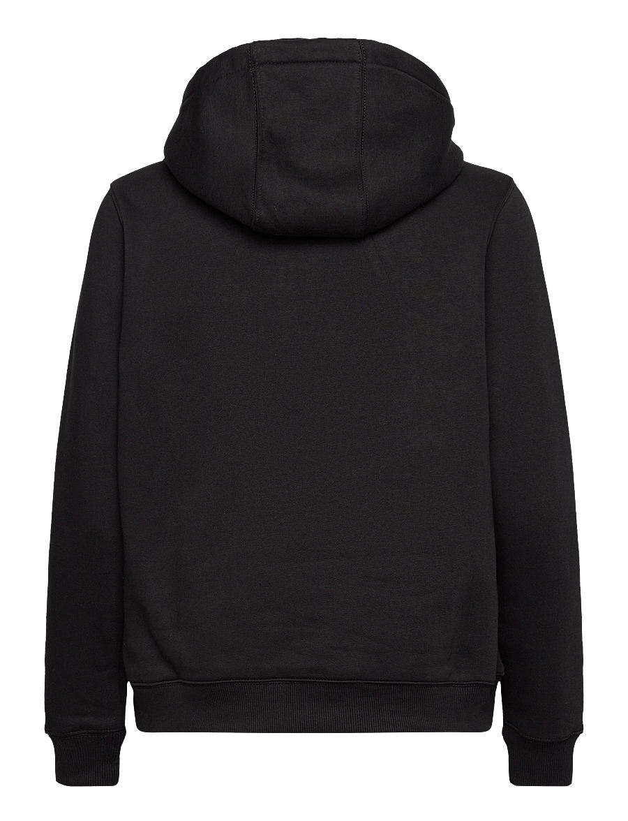 Tommy Jeans - TJW REG S FLAG HOODIE - hoodies - black - 2