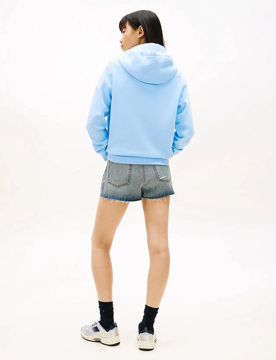 Tommy Jeans - TJW REG S FLAG HOODIE - kapuutsiga pusad - light powdery blue - 2