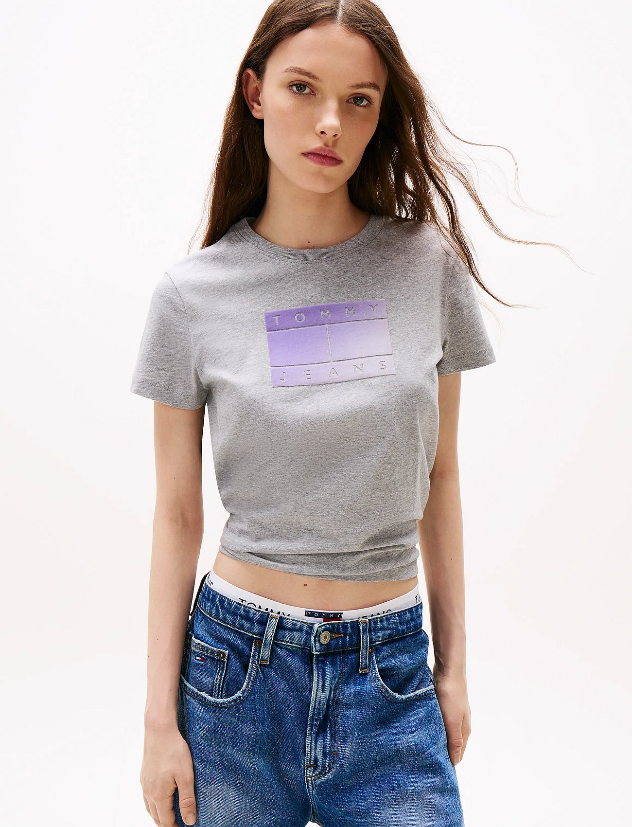 TJW REG GRADIENT FLAG SS - GREY HTR