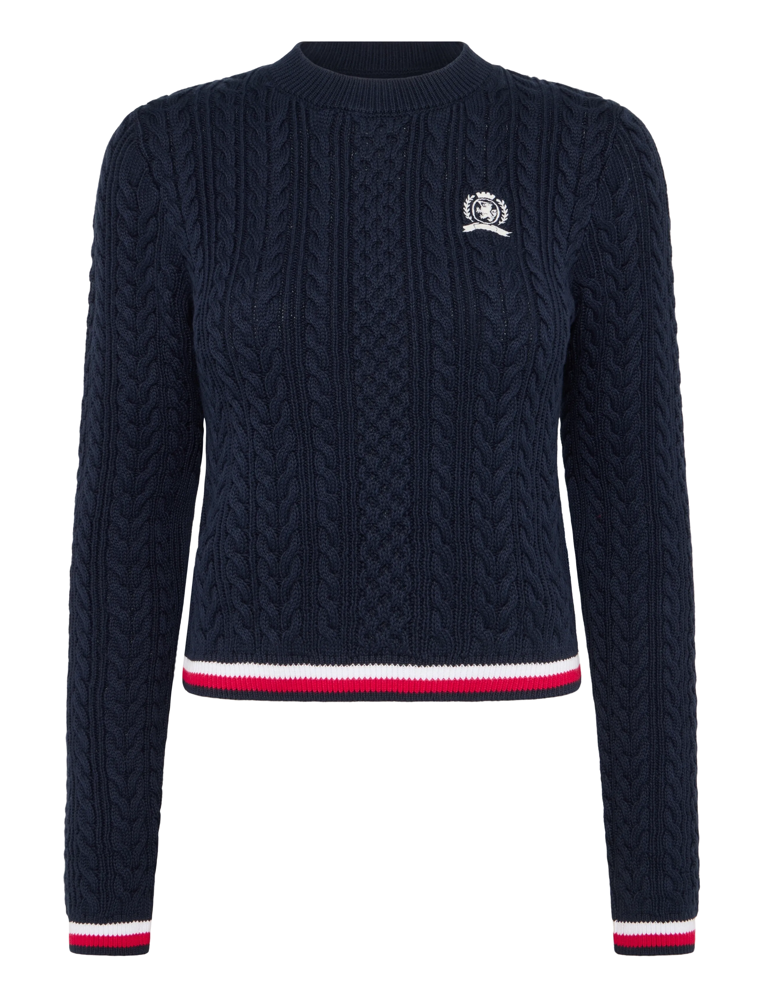 Tommy Jeans TJW RWB TIPPING SWEATER - Striktrøjer - DARK NIGHT NAVY / navy