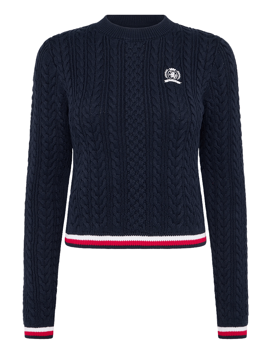 Tommy Jeans - TJW RWB TIPPING SWEATER - striktrøjer - dark night navy - 0