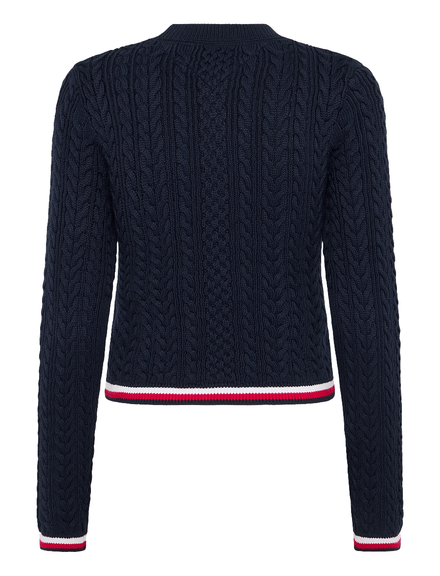 Tommy Jeans - TJW RWB TIPPING SWEATER - striktrøjer - dark night navy - 1