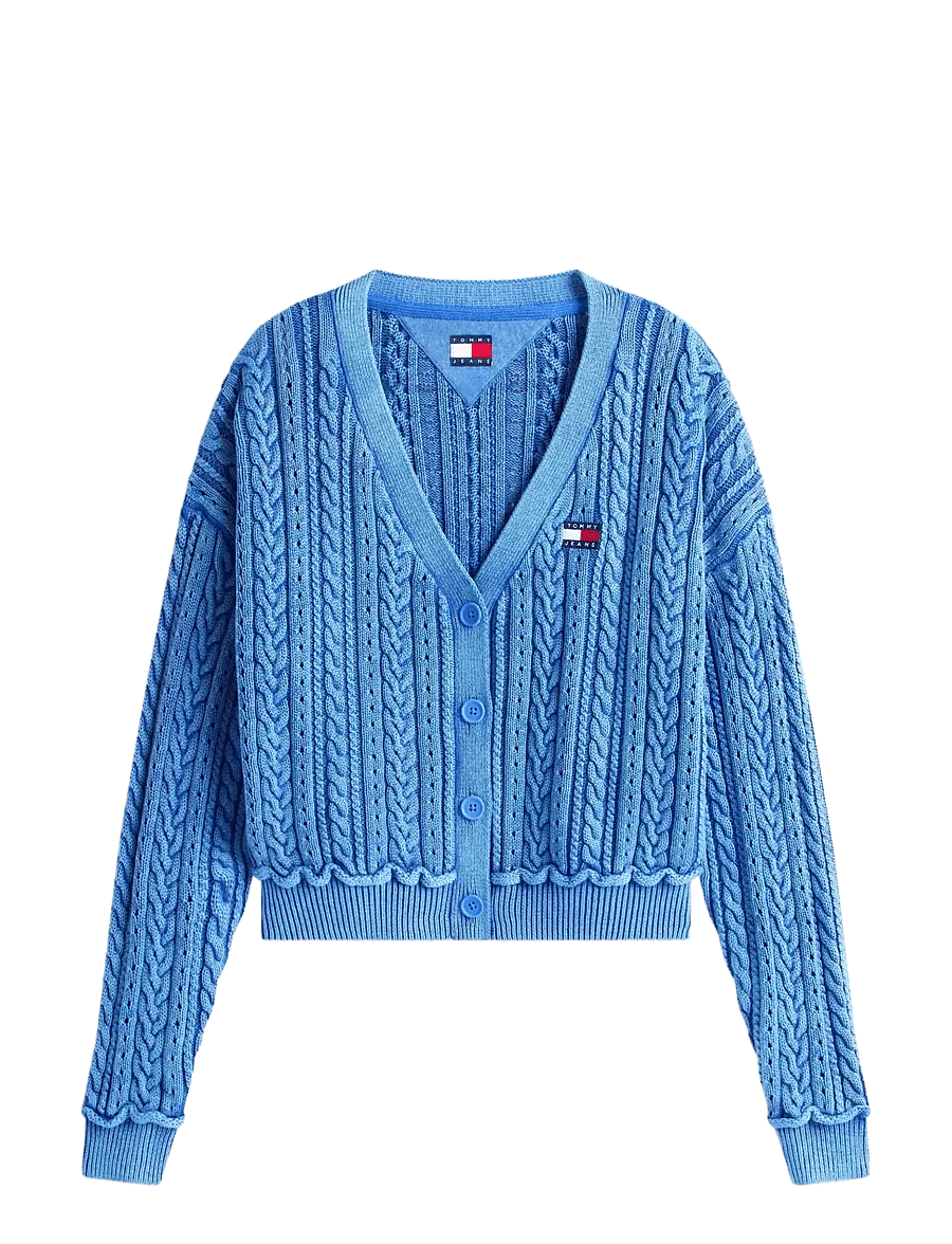 Tommy Jeans - TJW BOXY GMD CARDIGAN - strickjacken - empire blue - 1