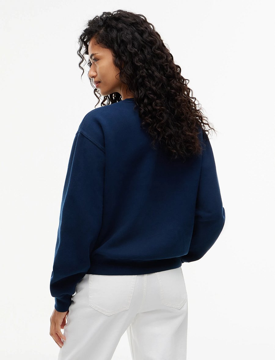 Tommy Jeans - TJW BADGE CREW EXT - sweatshirts - dark blue - 2
