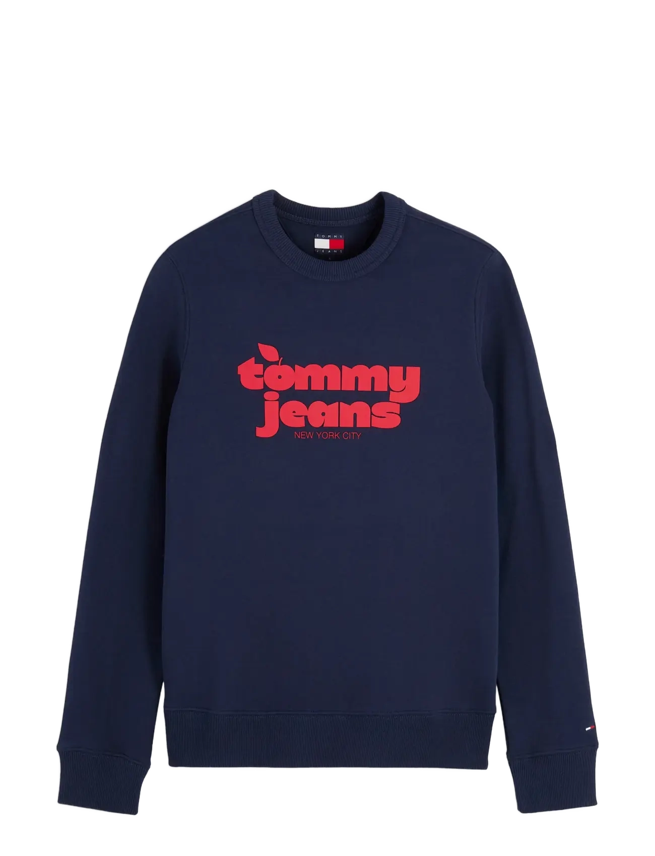Tommy Jeans - TJW REG NOVELTY CREW EXT - sweatshirts - dark blue - 1
