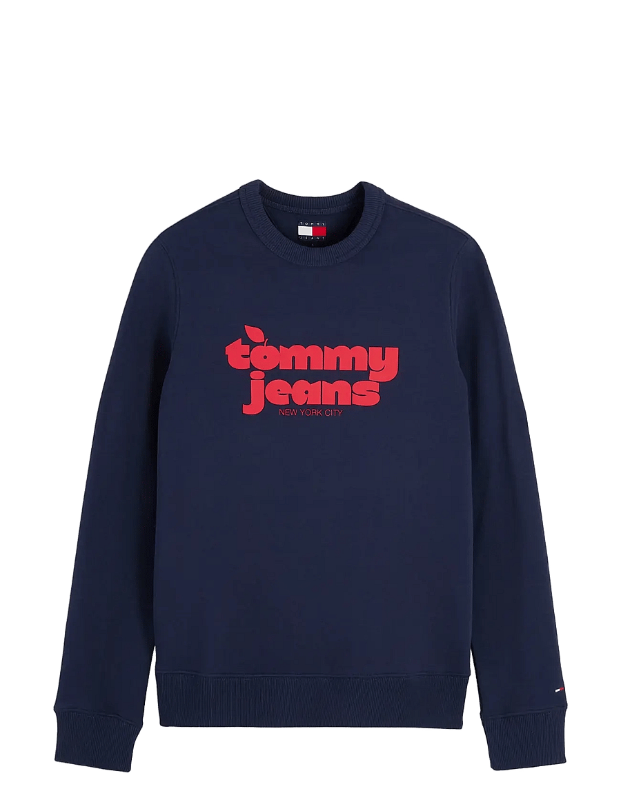 Tommy Jeans - TJW REG NOVELTY CREW EXT - hverdags stil - dark blue - 1