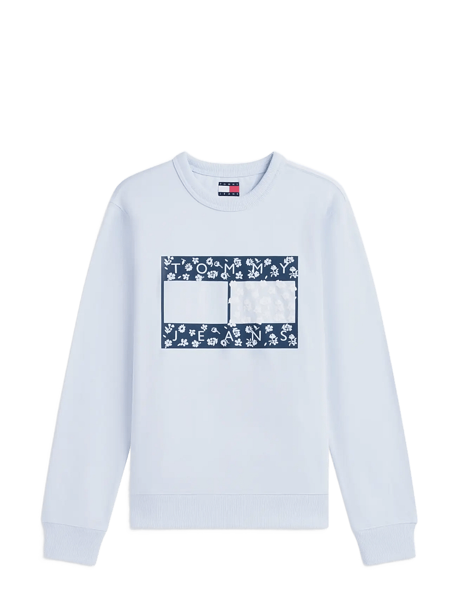 Tommy Jeans - TJW REG NOVELTY CREW EXT - sweatshirts - sheer blue - 1