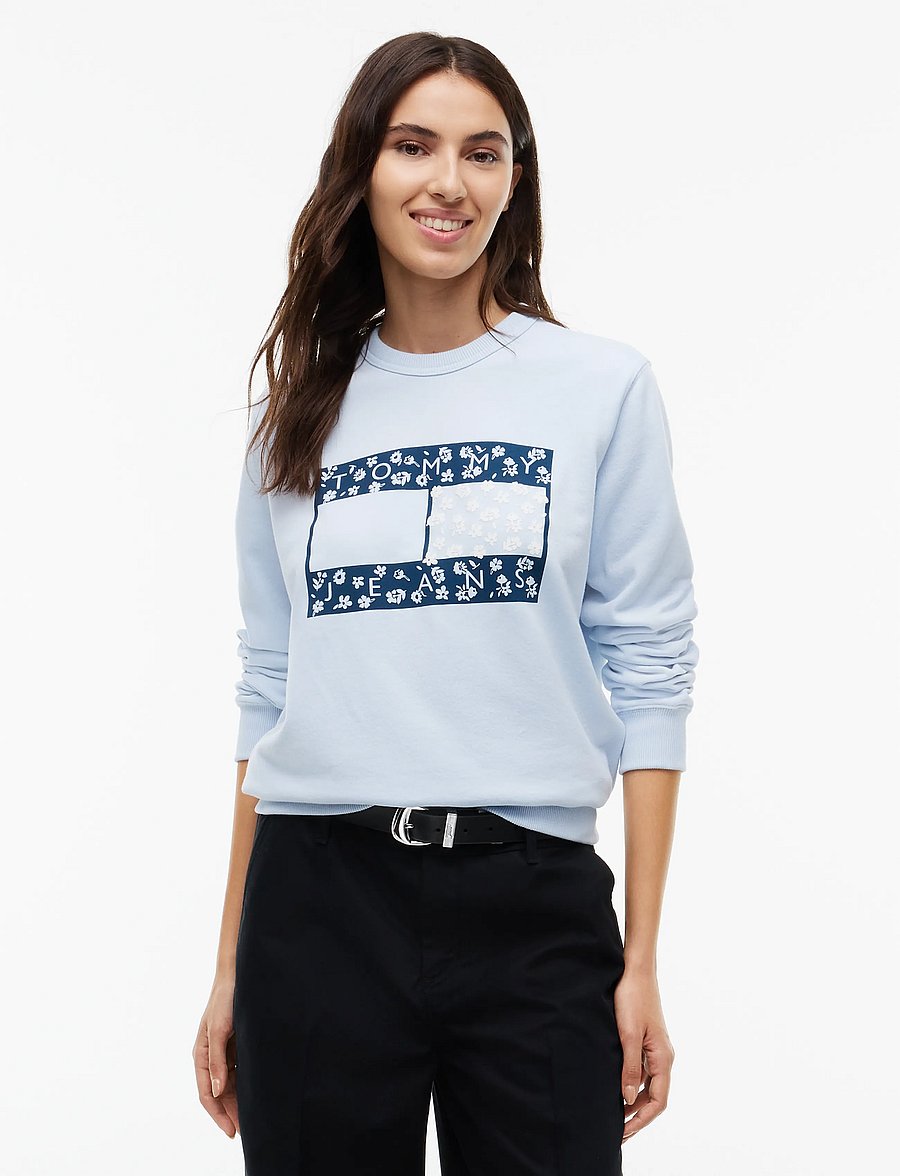 Tommy Jeans - TJW REG NOVELTY CREW EXT - sweatshirts - sheer blue - 0