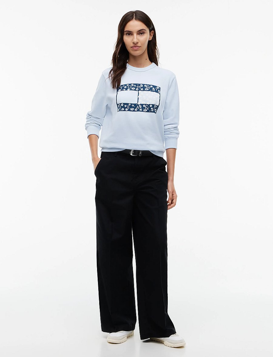 Tommy Jeans - TJW REG NOVELTY CREW EXT - sweatshirts - sheer blue - 4