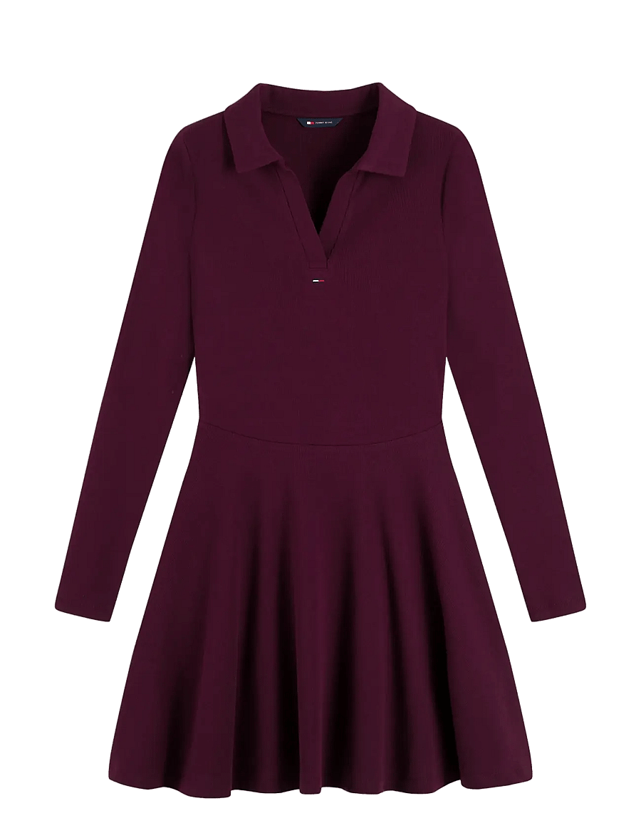 Tommy Jeans - TJW RIB FIT & FLARE POLO DRESS - hemdkleider - calypso berry - 1