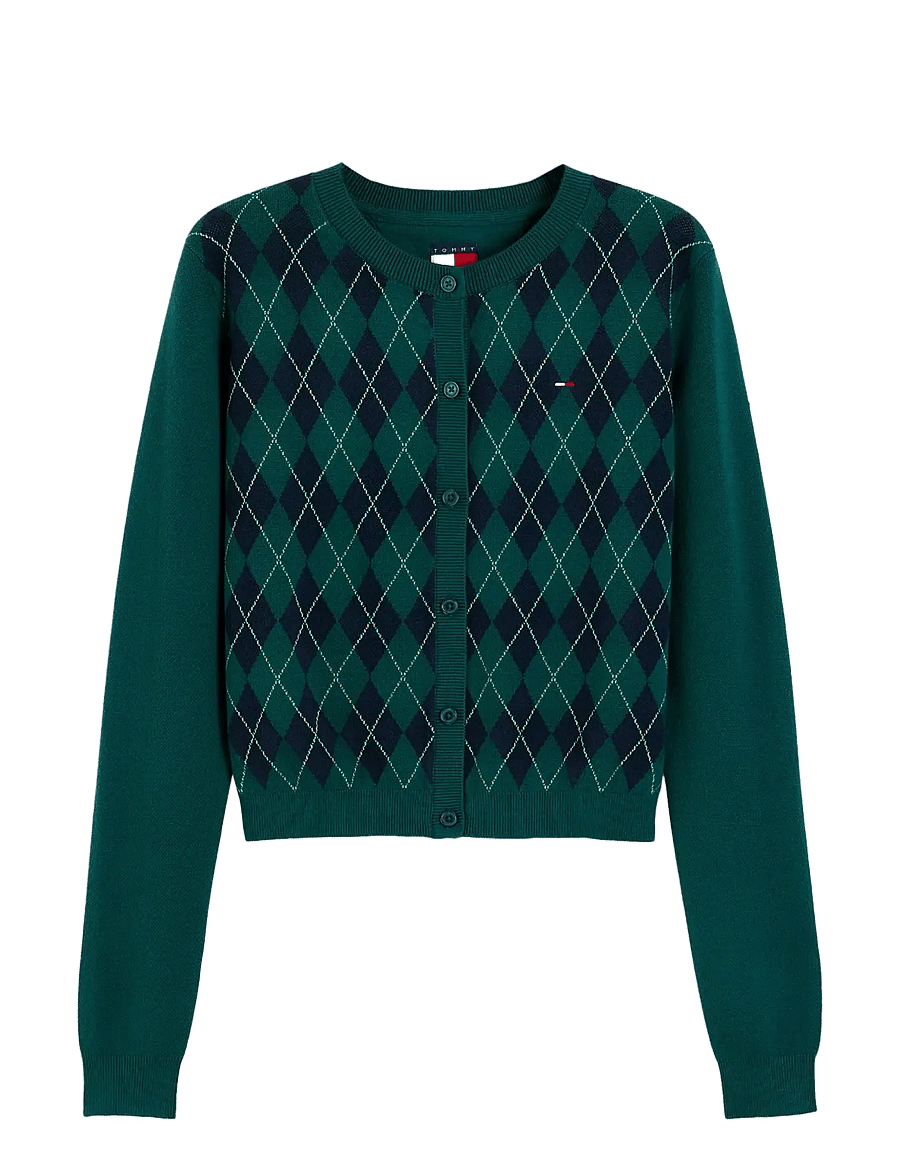 Tommy Jeans - TJW ESS CREW CARDIGAN ARGYLE EXT - koftor - elegant green argyle - 1