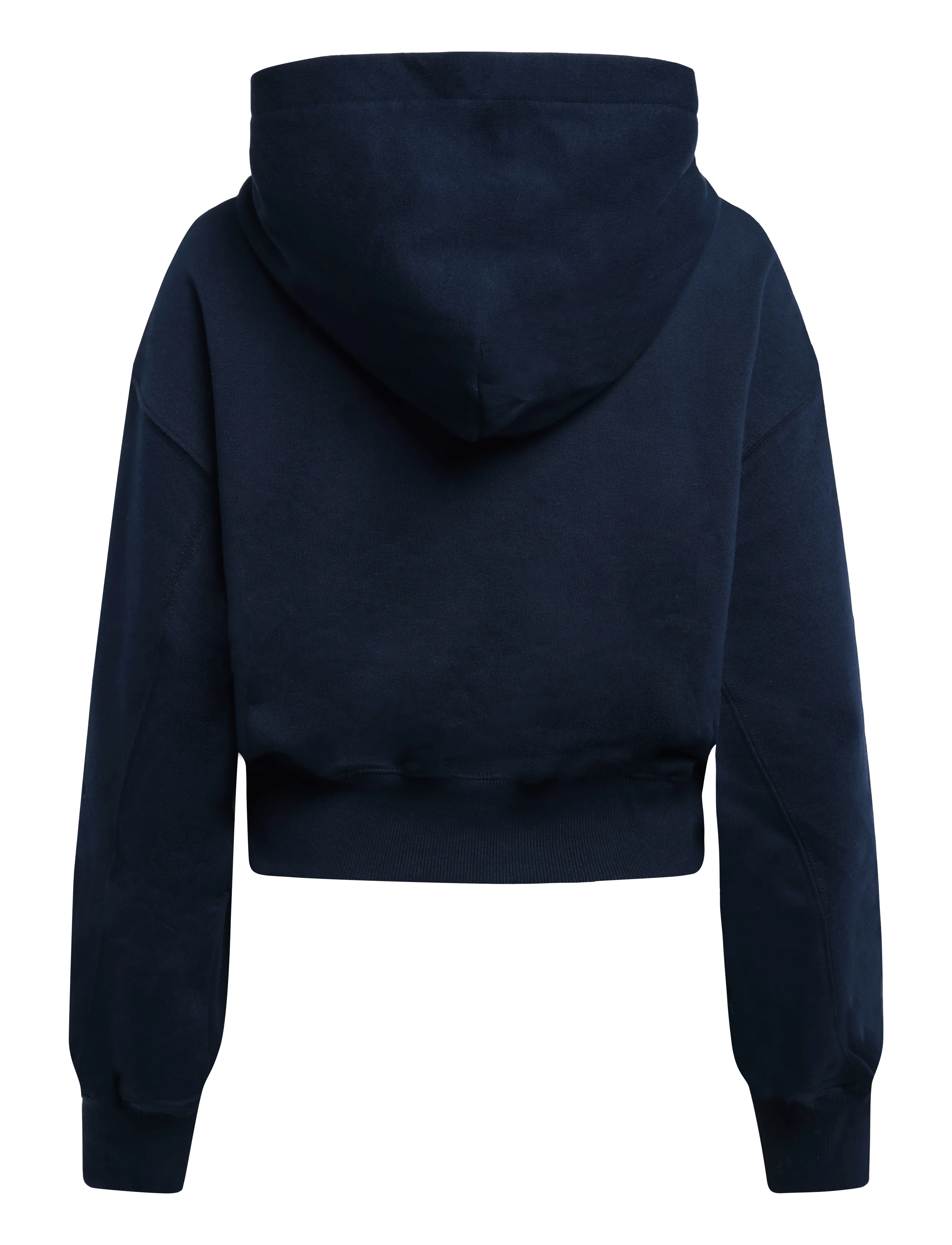 Tommy Jeans - TJW OVS SH TOMMY ARCH HOODIE - crop tops - dark blue - 1