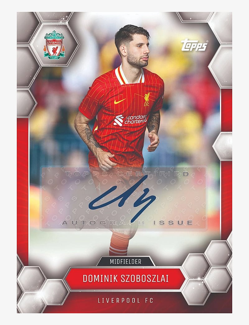 Fußball - TOPPS LIVERPOOL FAN SET 24/25 - multi colour - 1