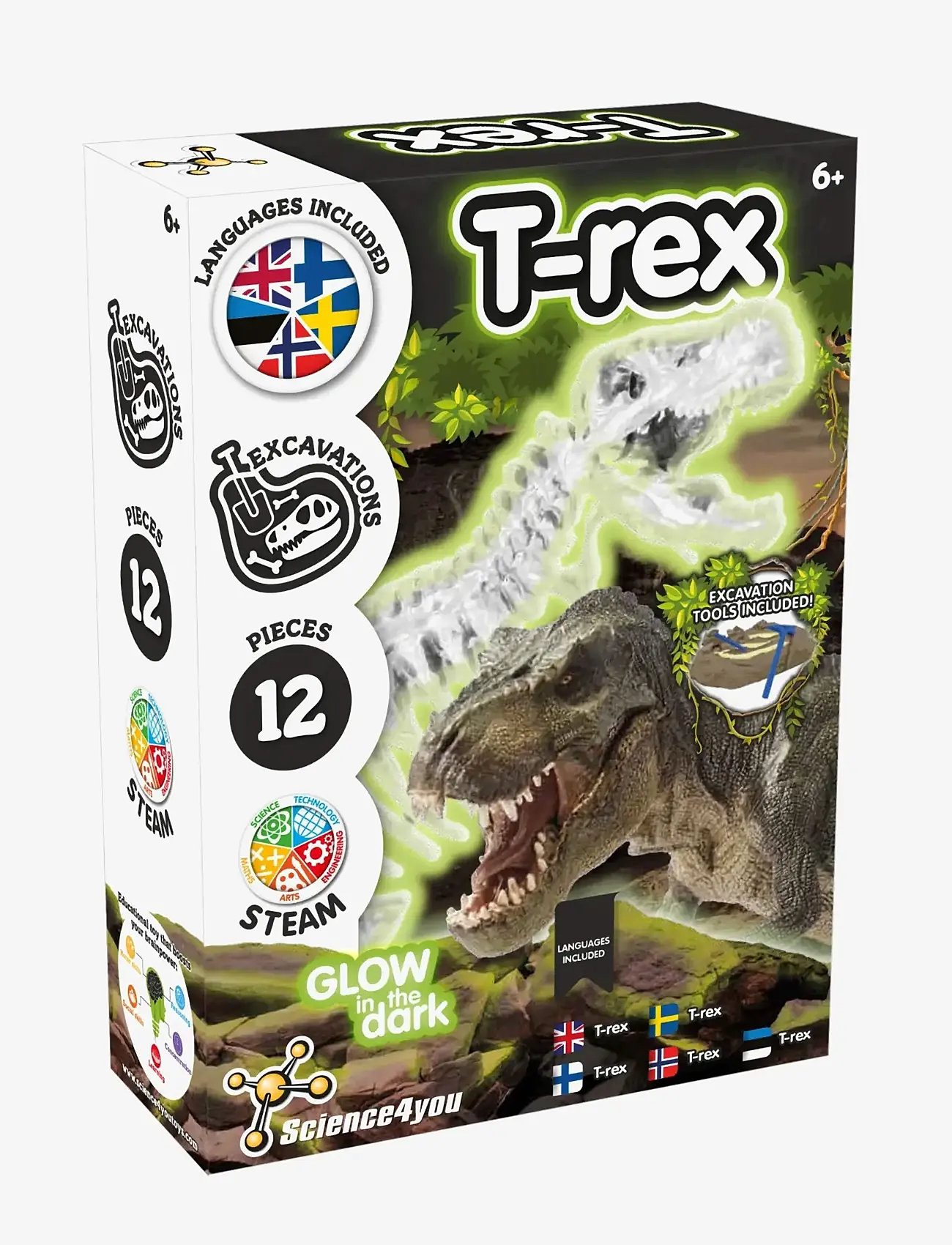 Toyrock - SCIENCE4YOU T-REX GLOW IN THE DARK - dyr - multi coloured - 2