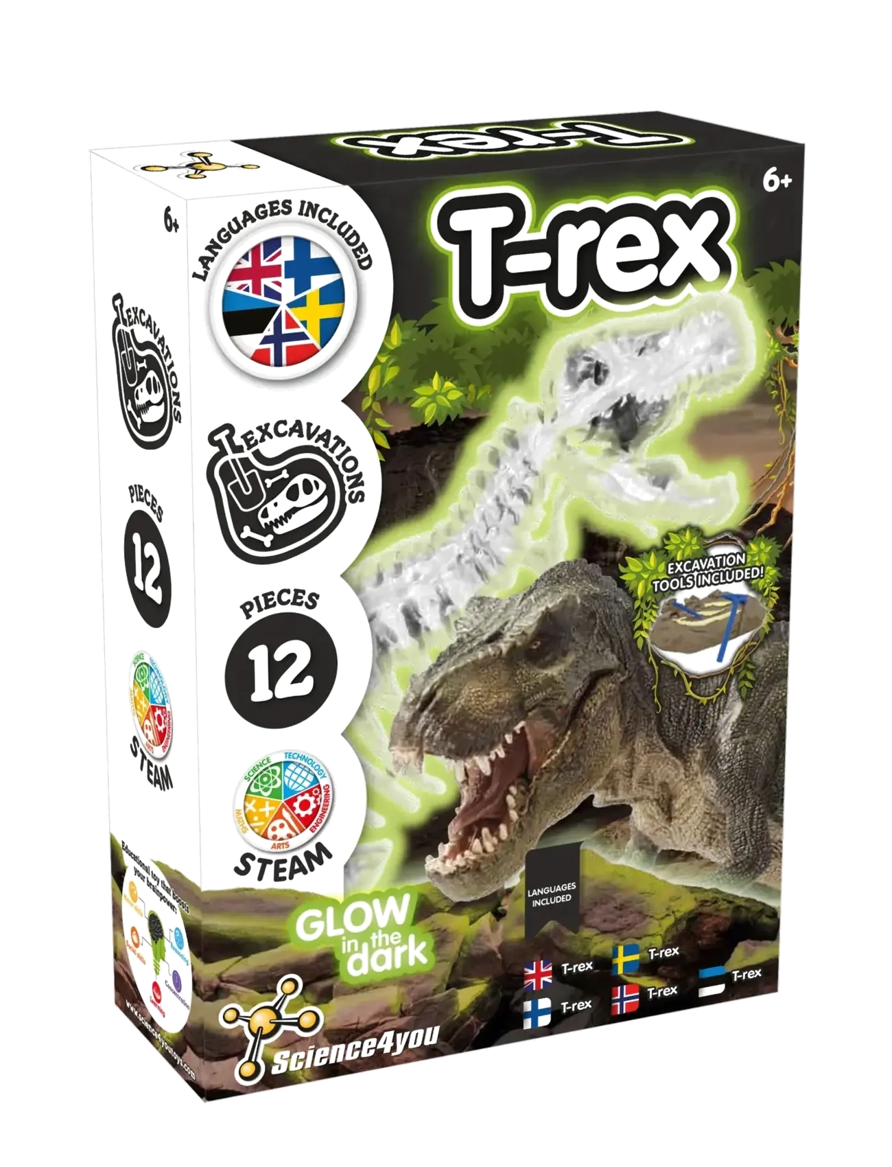 Toyrock - SCIENCE4YOU T-REX GLOW IN THE DARK - dyr - multi coloured - 2