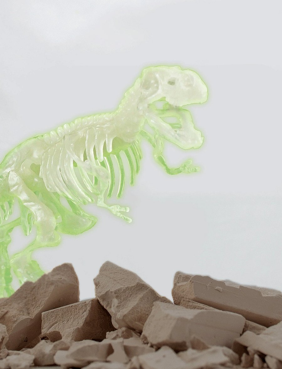 Toyrock - SCIENCE4YOU T-REX GLOW IN THE DARK - dyr - multi coloured - 0