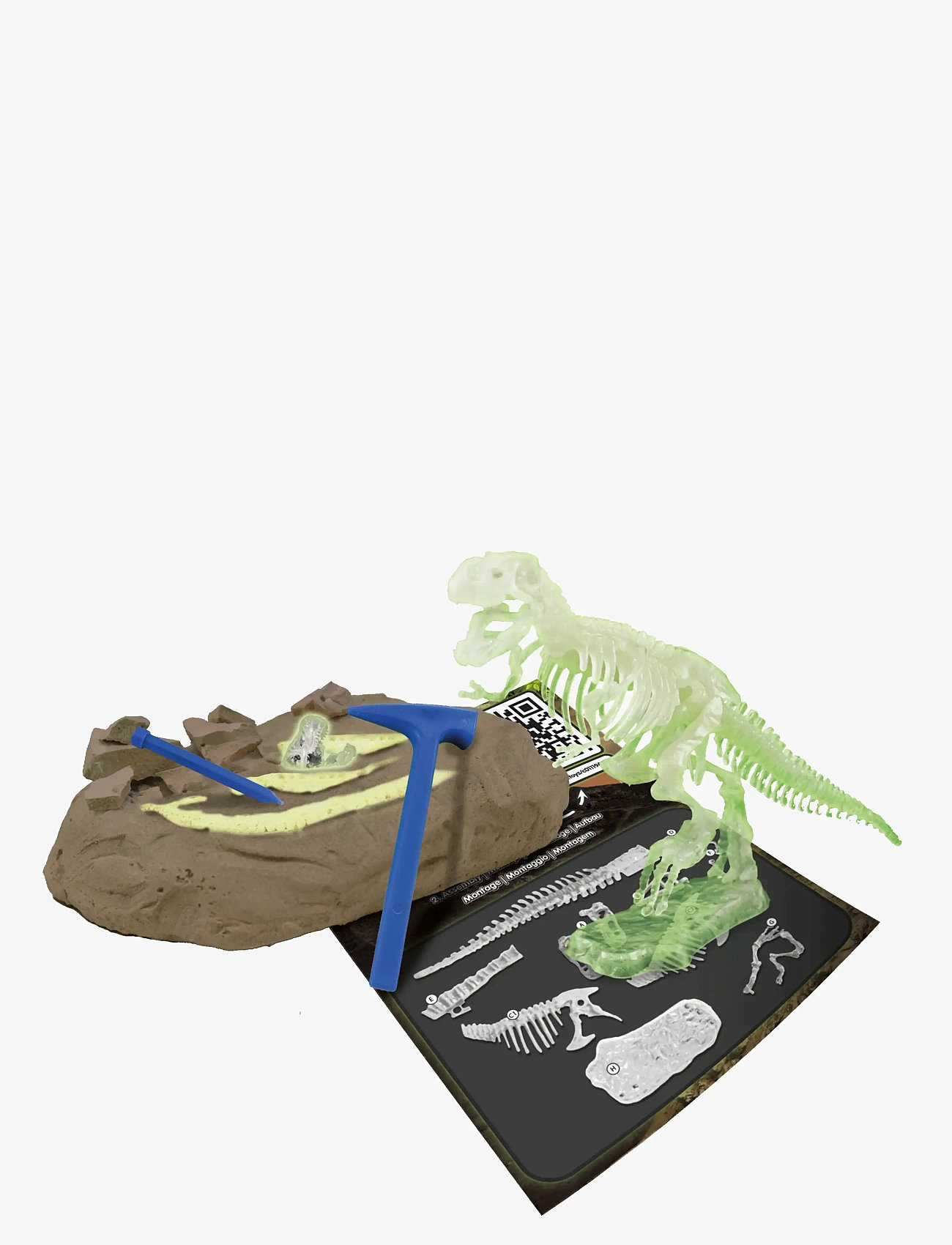 Toyrock - SCIENCE4YOU T-REX GLOW IN THE DARK - dyr - multi coloured - 3