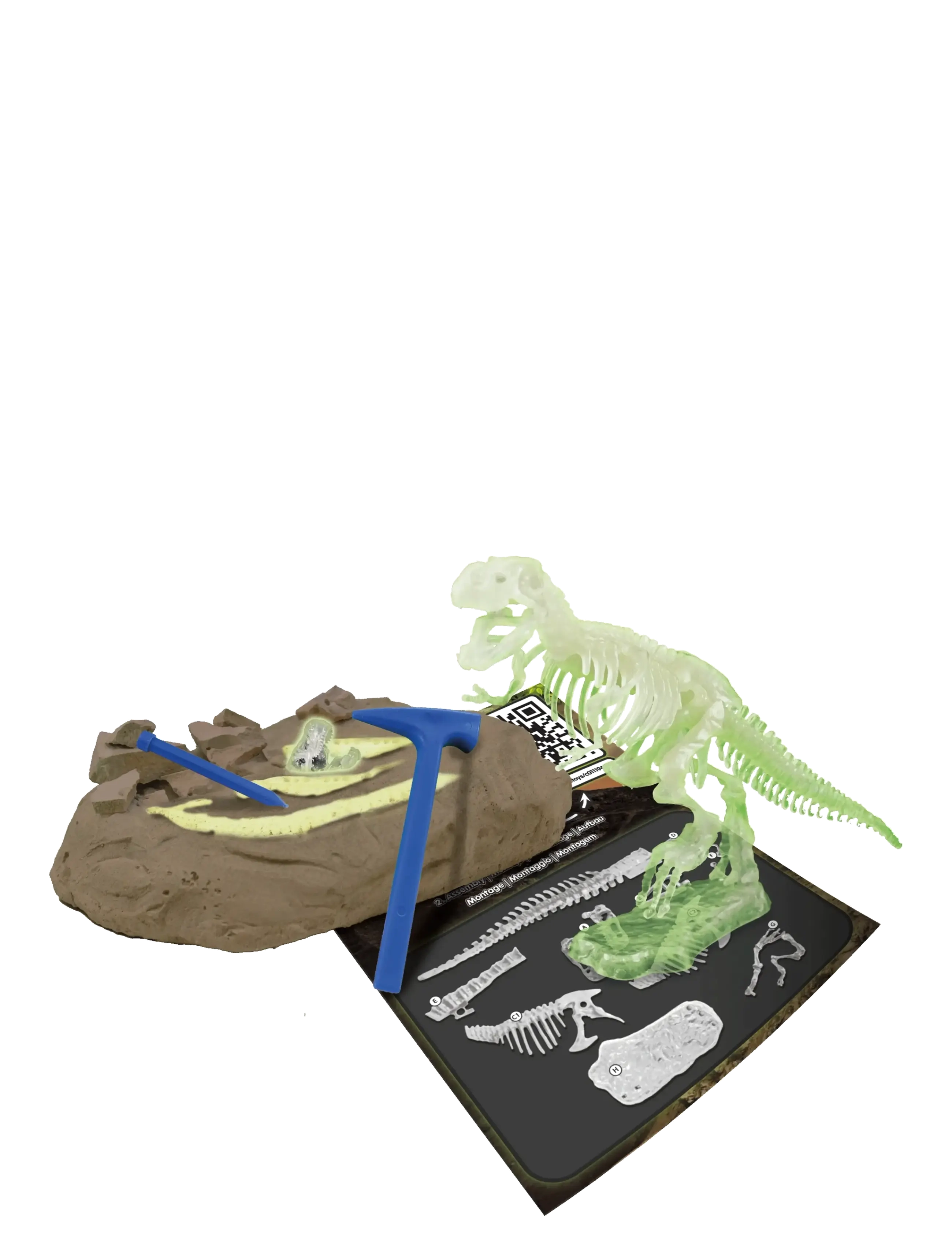 Toyrock - SCIENCE4YOU T-REX GLOW IN THE DARK - dyr - multi coloured - 3