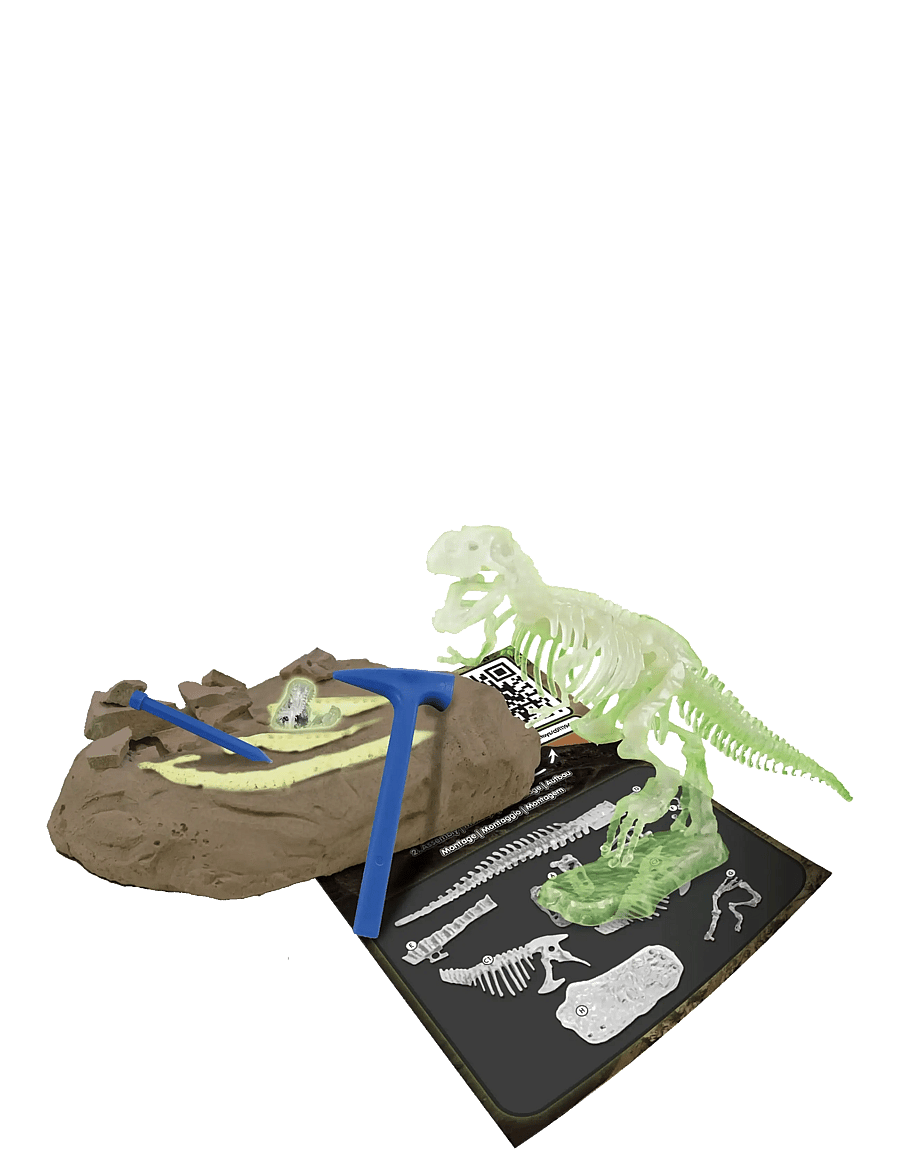Toyrock - SCIENCE4YOU T-REX GLOW IN THE DARK - dyr - multi coloured - 3
