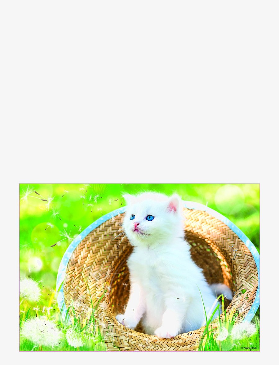 Trefl - TREFL 4 i 1 35+48+54+70 BIT FUN CATS - klassische puzzles - blue - 4