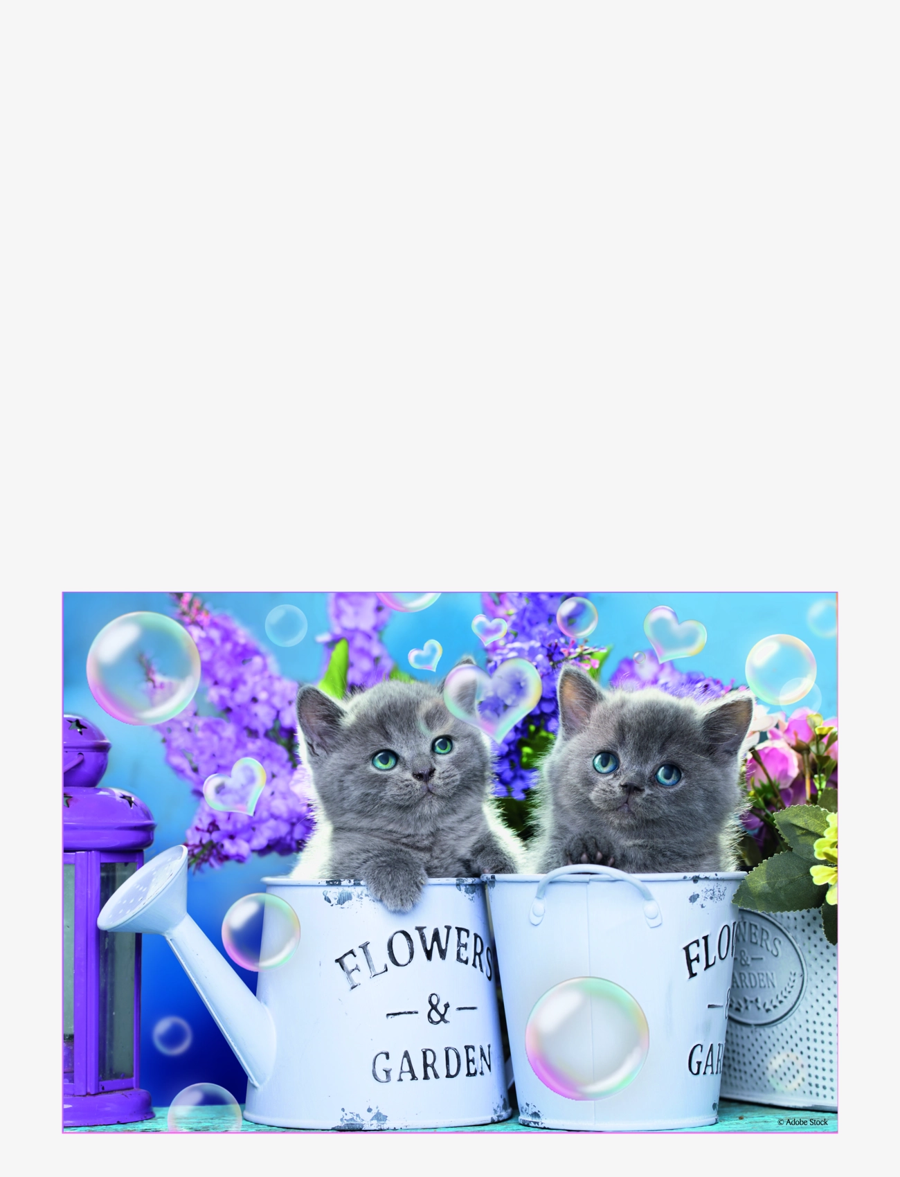 Trefl - TREFL 4 i 1 35+48+54+70 BIT FUN CATS - classic puzzles - blue - 5