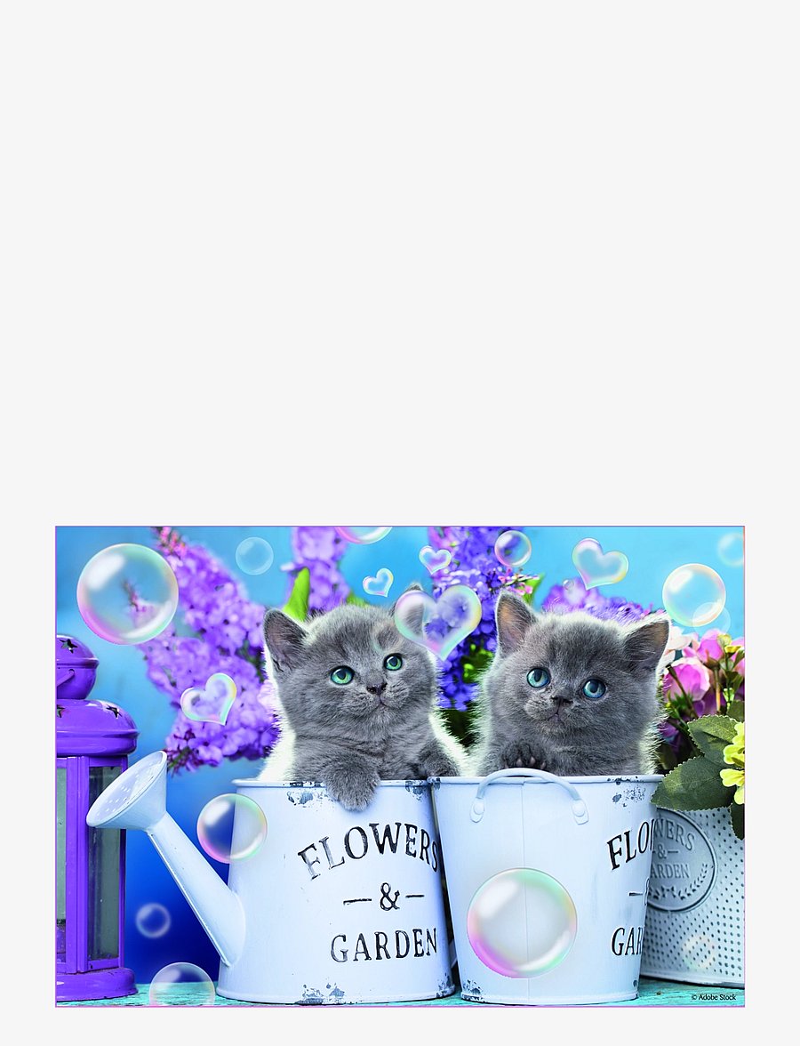 Trefl - TREFL 4 i 1 35+48+54+70 BIT FUN CATS - klassische puzzles - blue - 5