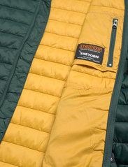 Tretorn - SHELTER LINER W's - winter jacket - 068/frosted gre - 4