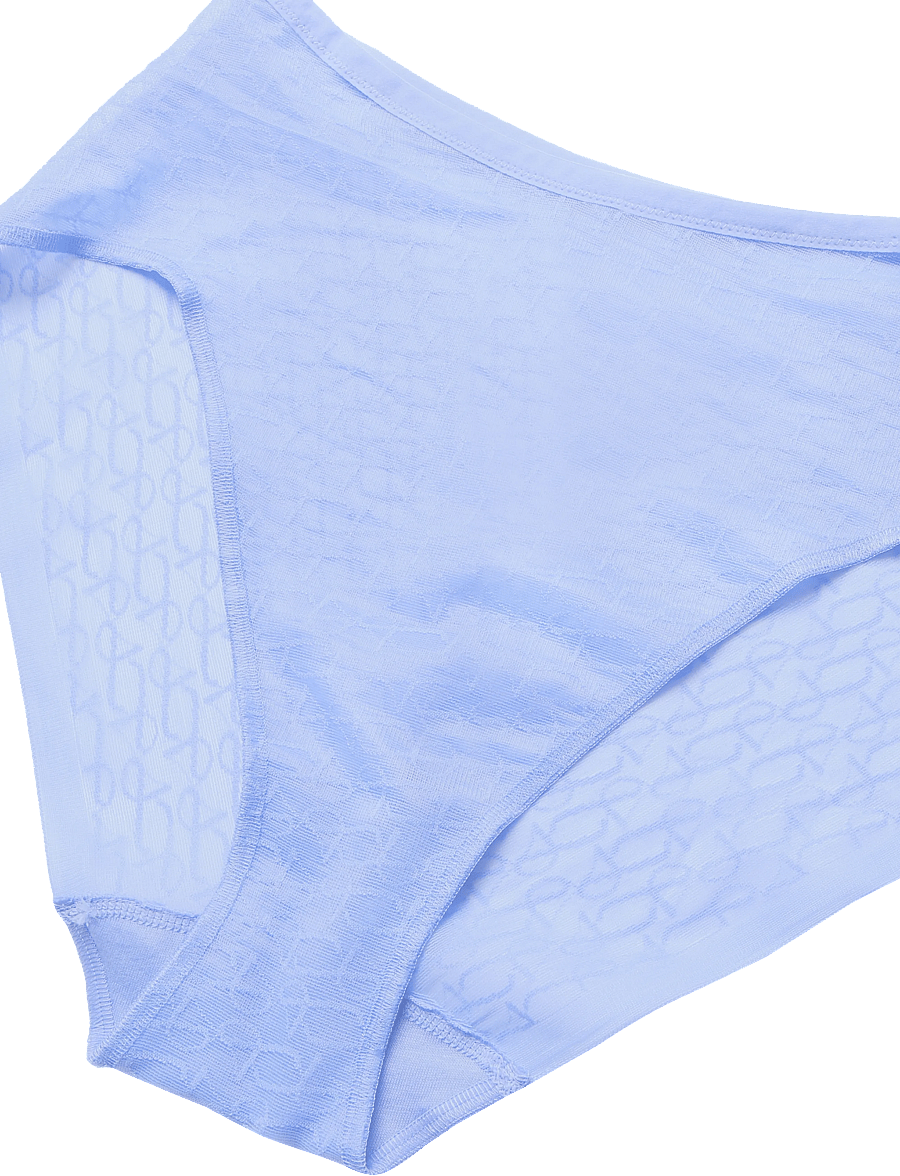 Triumph - Triumph Signature Sheer Maxi EX - slips - jacaranda - 2