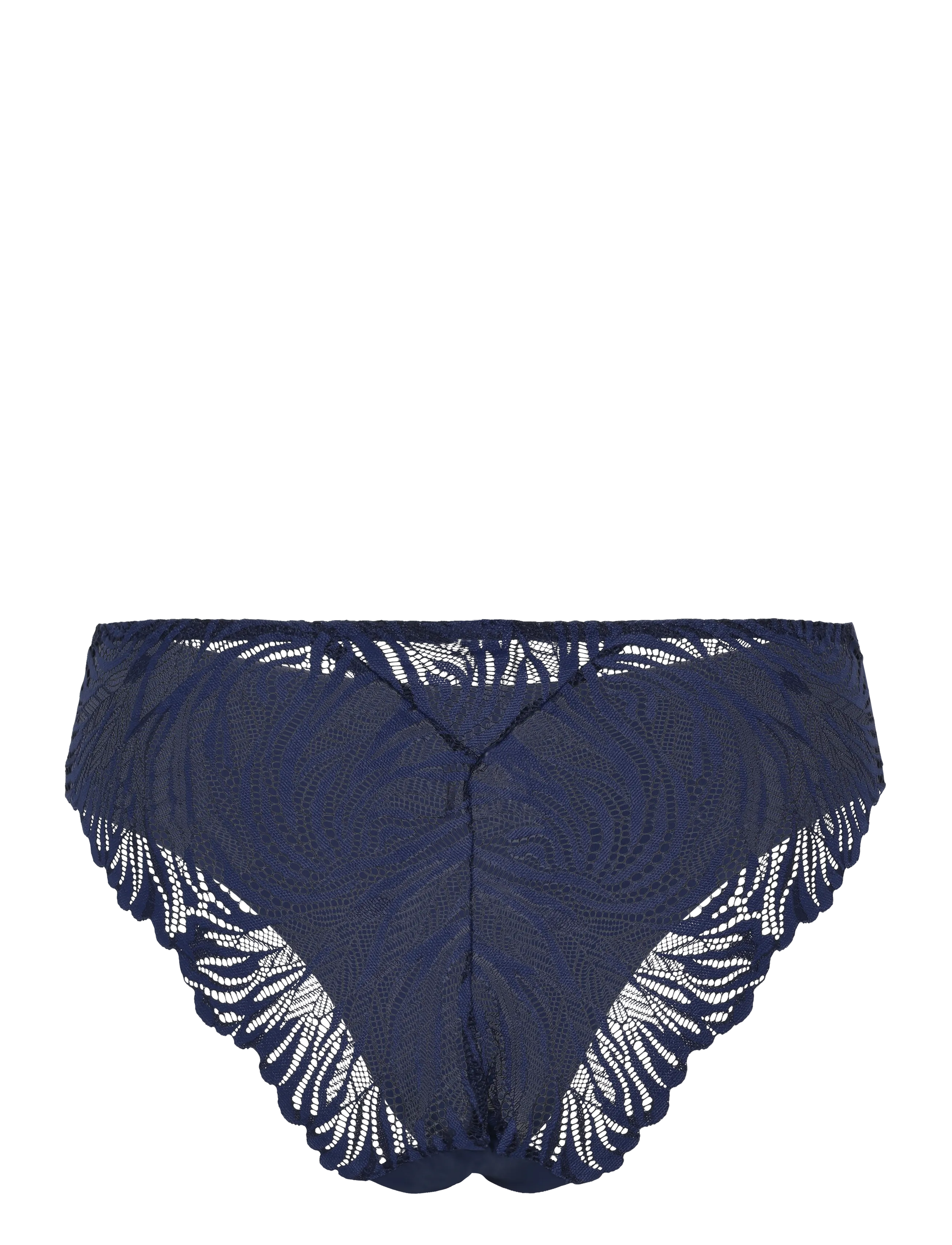 Triumph - Pretty Micro Tai - admiral - 2