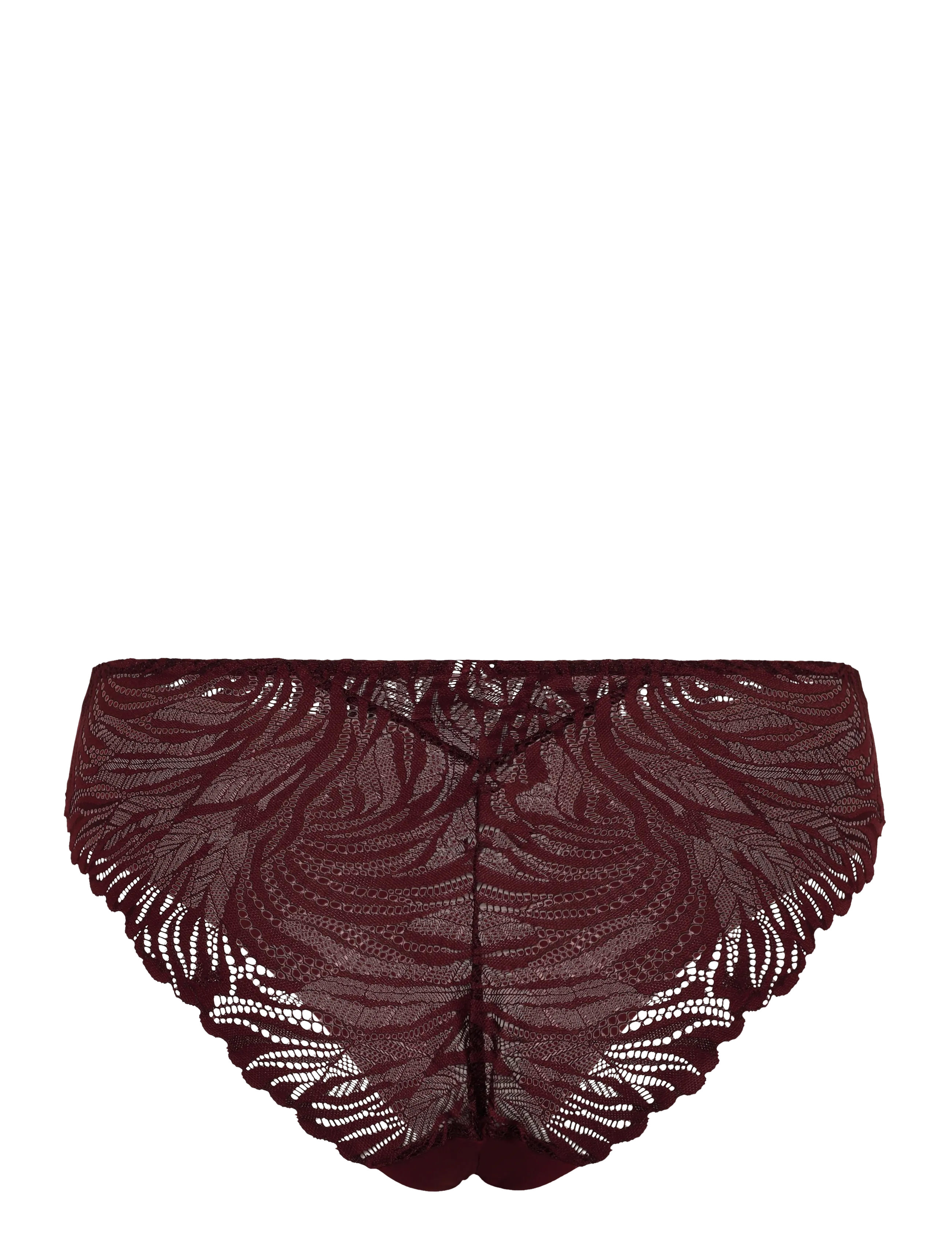 Triumph - Pretty Micro Tai - briefs - claret - 2