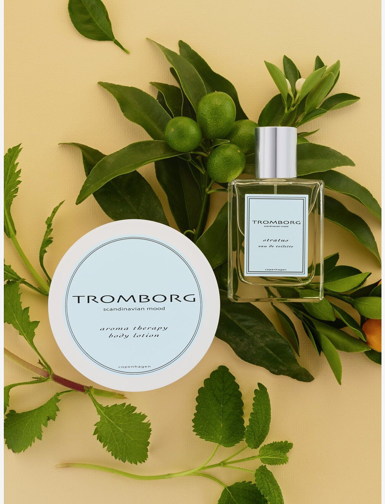 Tromborg - Eau De Toilette Stratus - for her - clear - 1