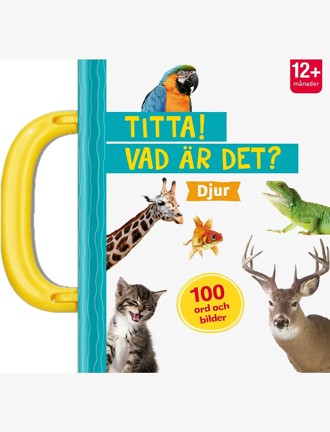 TUKAN - Titta! Vad är det? Djur - multi-colored - 0