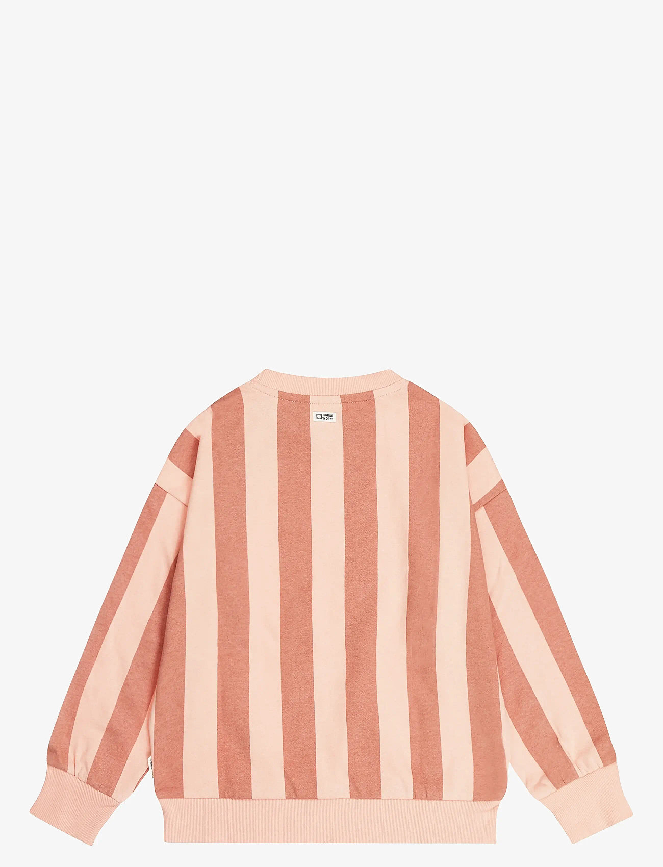 TUMBLE 'N DRY - Coquina Sweatshirt - dressipluusid - apricot bl - 2
