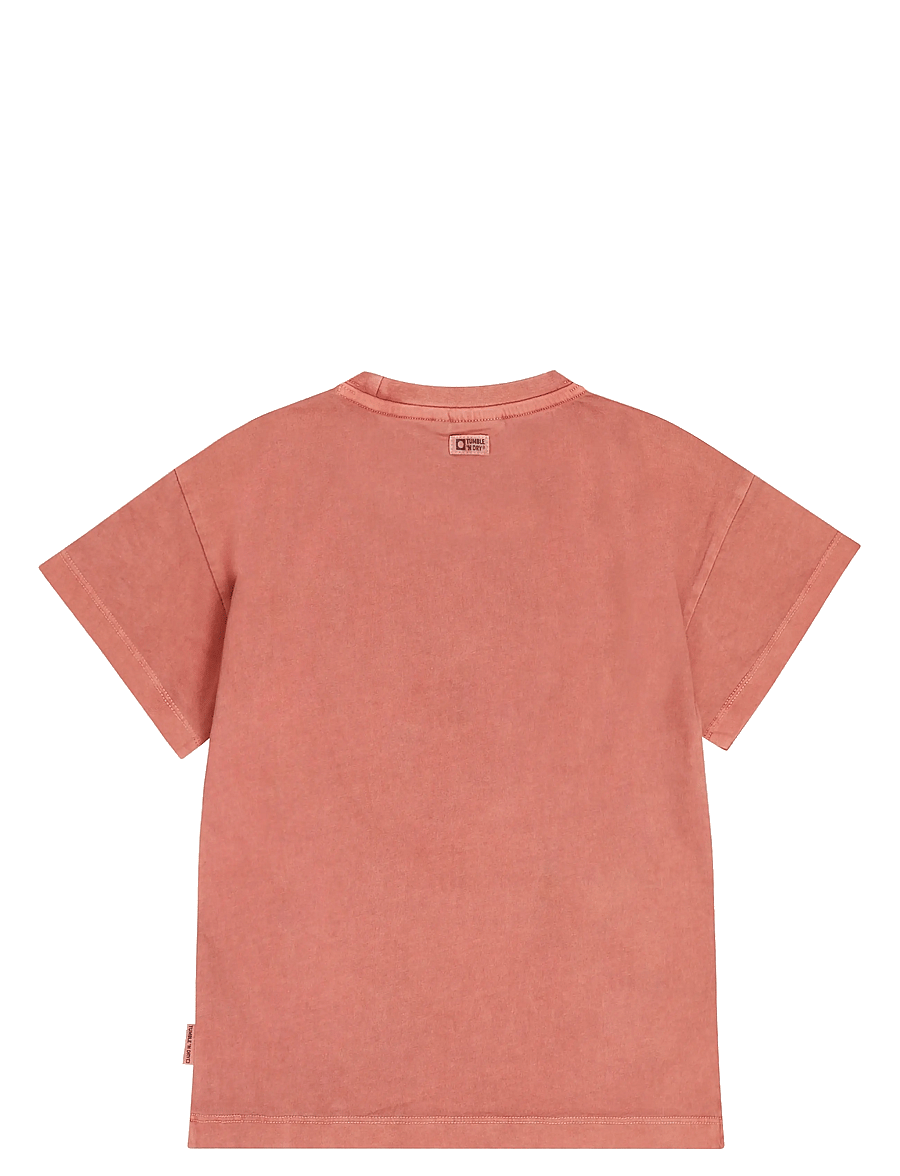 TUMBLE 'N DRY - TND Rouen Deux - kortærmede t-shirts - canyon ros - 2